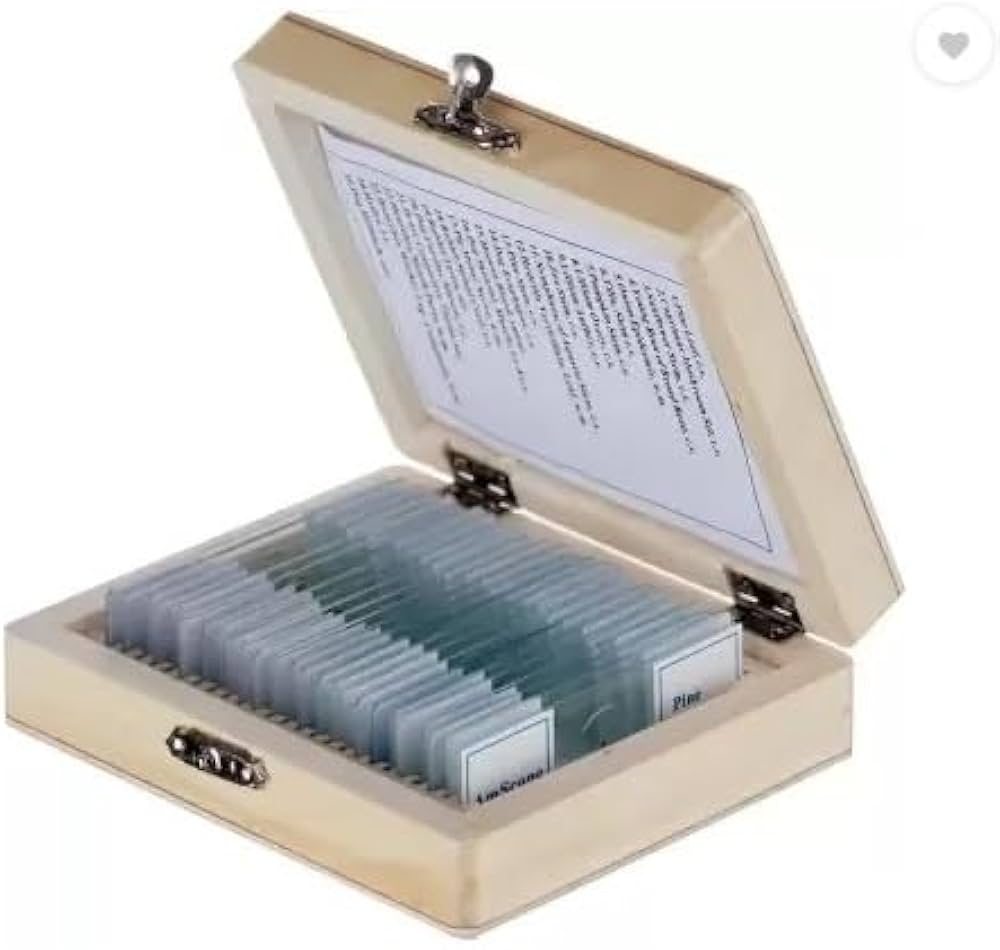 Microscope Prepared Slides