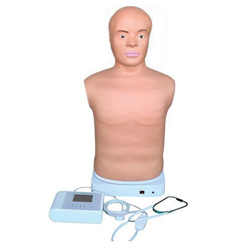 Medical Models - Labmart.in