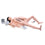 Gynae & Obstetric Models