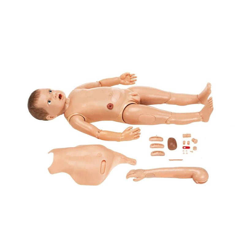 Nursing Manikins - Labmart.in