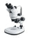 Stereo Zoom Microscopes