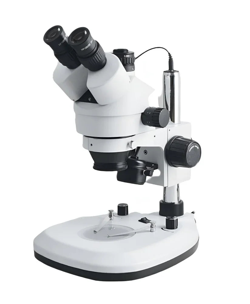 Stereo Zoom Microscopes