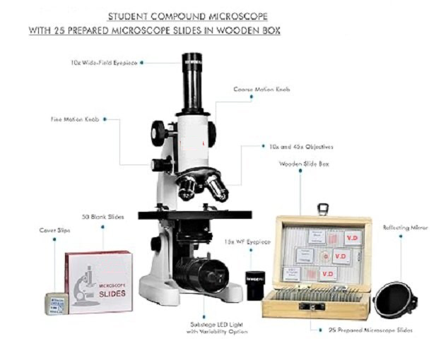 Student Compound Microscope with 50 prepared Slides,50 Blank Slides - Labmart.in