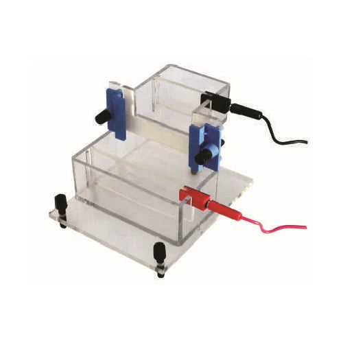 Vertical Electrophoresis Apparatus - Labmart.in