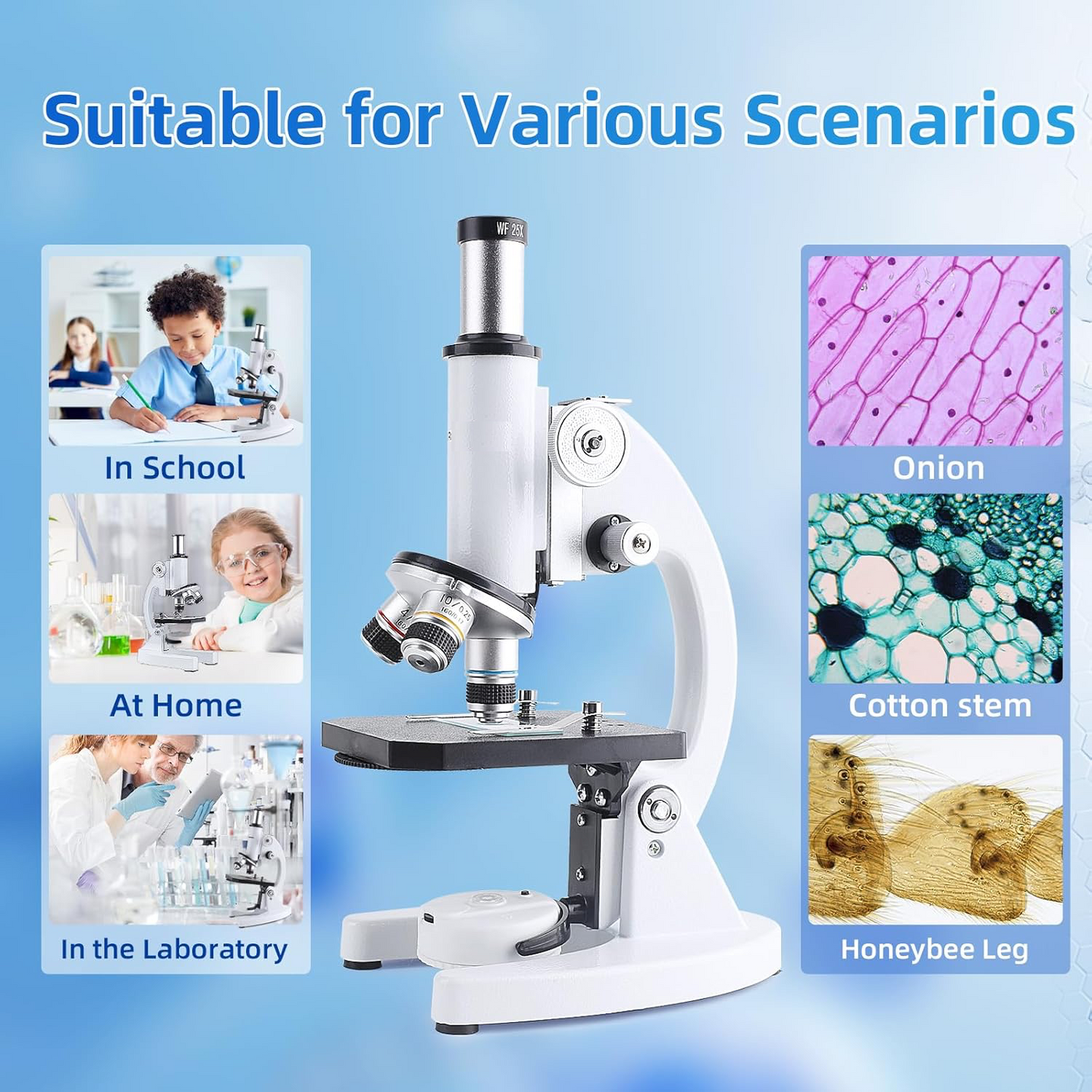 Student Compound Microscope with 50 prepared Slides,50 Blank Slides - Labmart.in