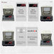 Precision Gold Balance Dual Display 10mg/600g - Labmart.in