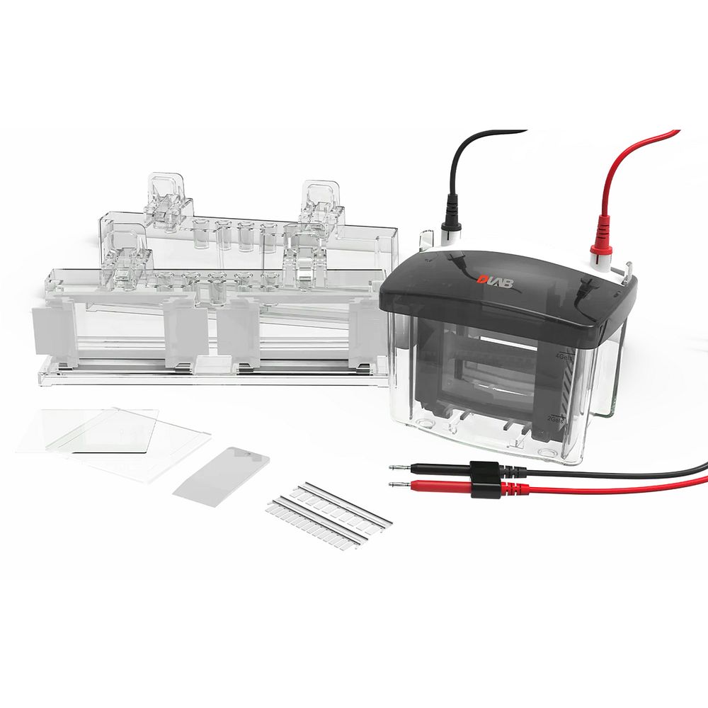 DLAB DL-Mini04 vertical electrophoresis tank with gel casting frame, glass plates, combs and electrode leads
