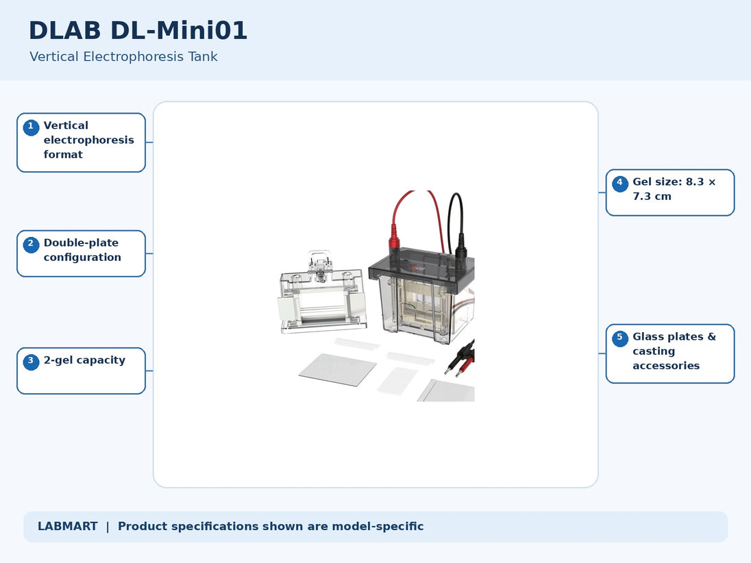 DLAB DL-Mini01 electrophoresis equipment with five model-specific features and specifications highlighted