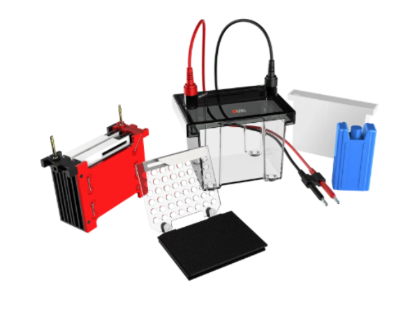 DLAB DL-ZY02 transfer electrophoresis tank with transparent chamber, transfer cassette, cooling accessories and electrode leads