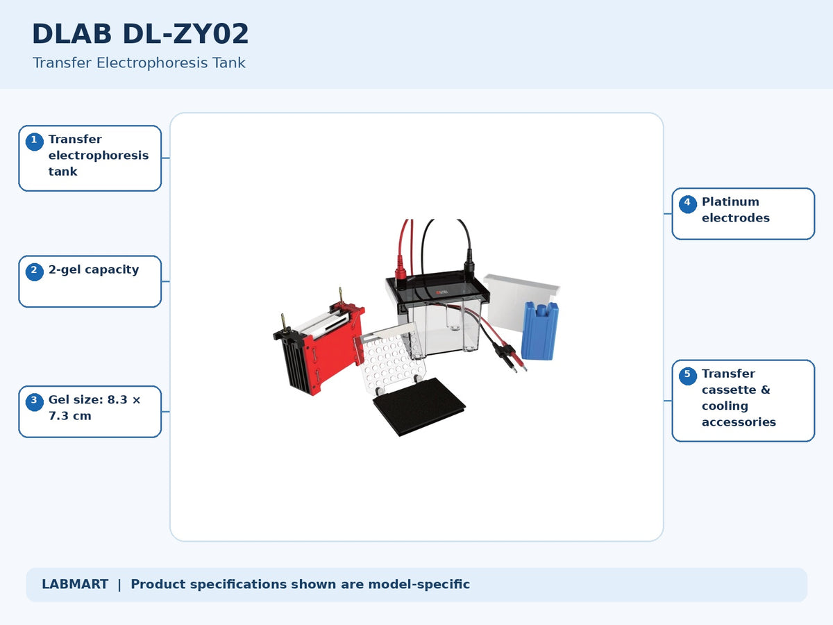 DLAB DL-ZY02 electrophoresis equipment with five model-specific features and specifications highlighted