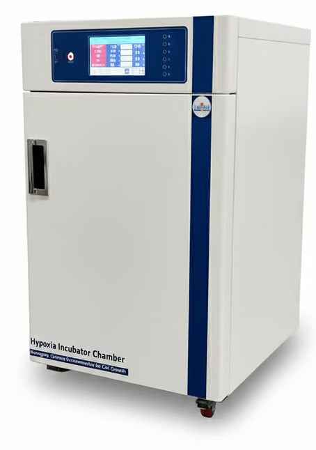 Hypoxia Incubator Chamber - Labmart.in
