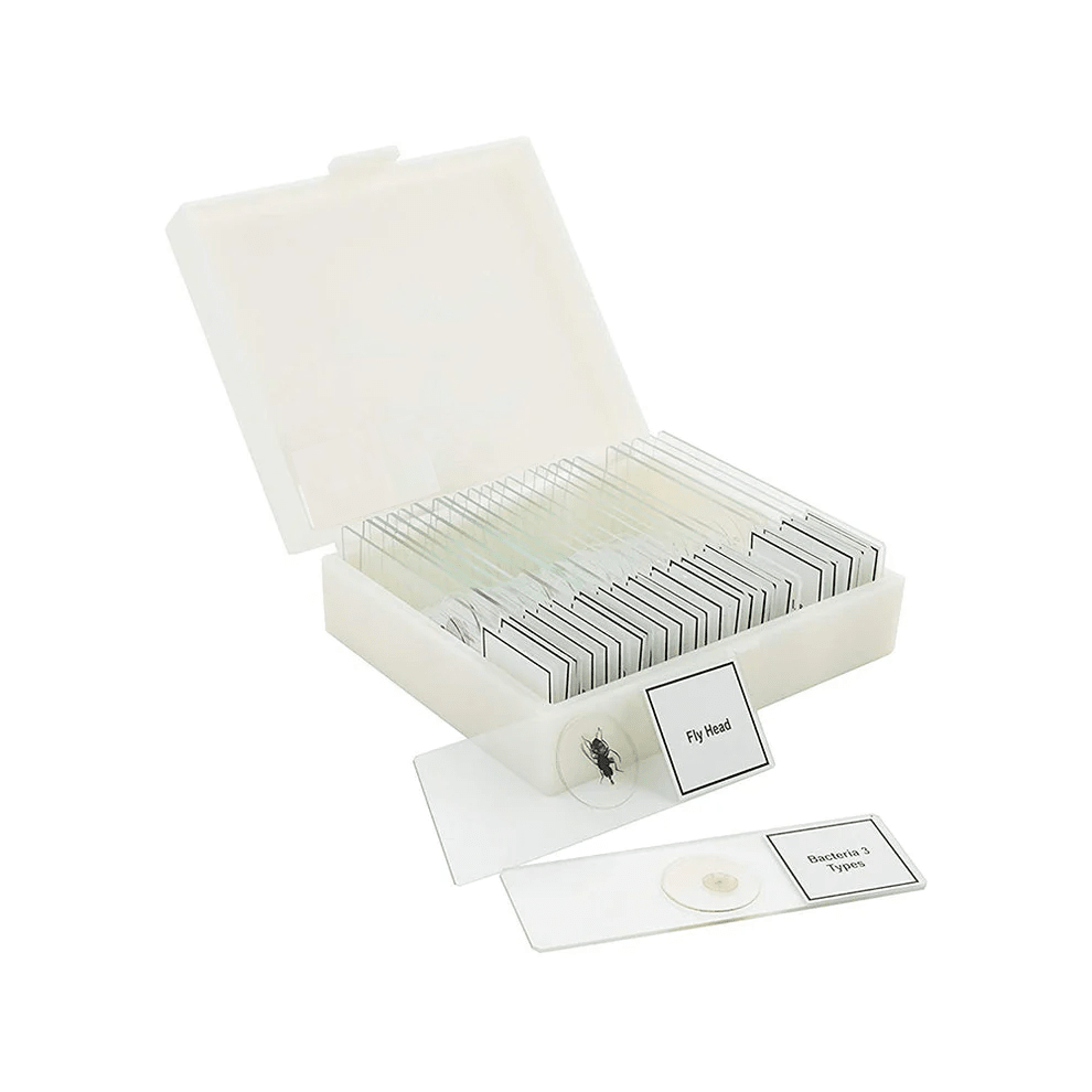 Buy Microscope Prepared Slides set of 25 Online at best price in India ...
