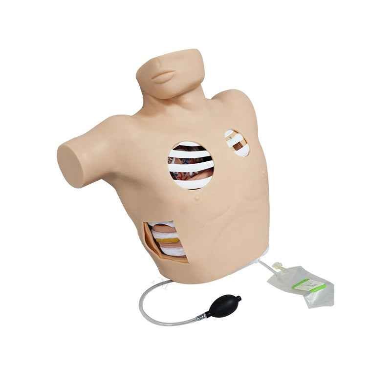 Buy Thoracentesis Drainage Model / Pleural Drainage Simulator at Best ...