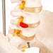 Human Spine Model (Life-Size) With Femur Heads & Pelvis - Labmart.in