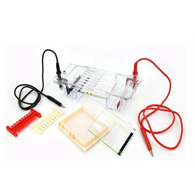 Horizontal Electrophoresis MINI