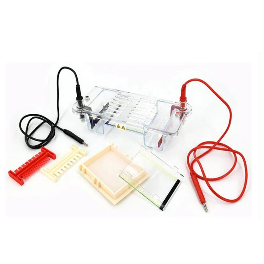 Horizontal Electrophoresis MINI