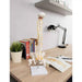 Human Spine Model 45cm Tall (Spinal/Vertebral Column Model) With Femur Heads - Labmart.in