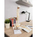 Human Spine Model 45cm Tall (Spinal/Vertebral Column Model) With Femur Heads - Labmart.in
